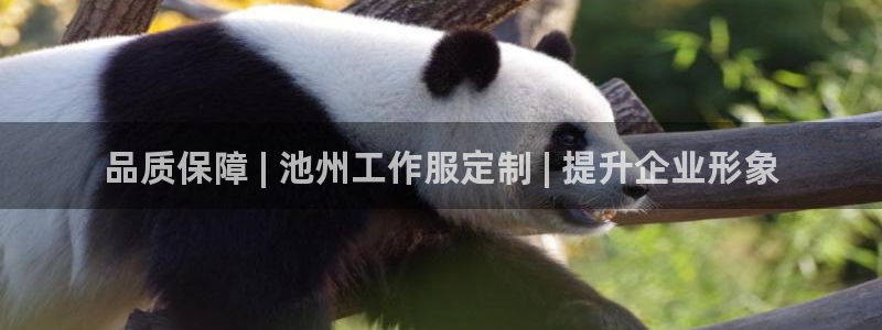 龙8国际官网娱乐